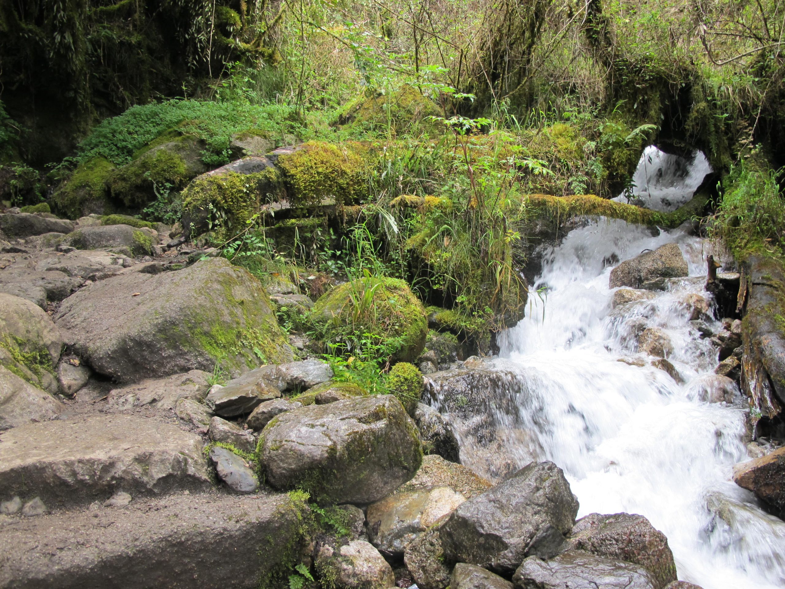 Imagen de la galería Caminata por Lares 4 días / 3 noches
