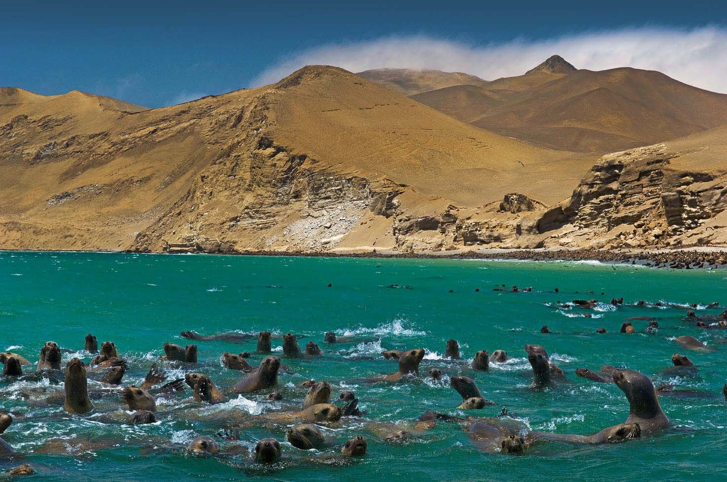 Imagen de la galería Lima – Nazca – Cusco – Lima